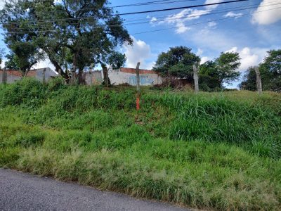 FOTO INTERNA À PARTIR DA R. DR. BARRETO COUTINHO