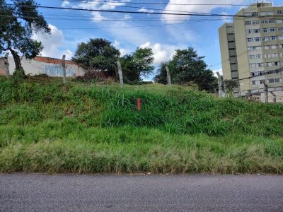 FOTO INTERNA À PARTIR DA R. DR. BARRETO COUTINHO